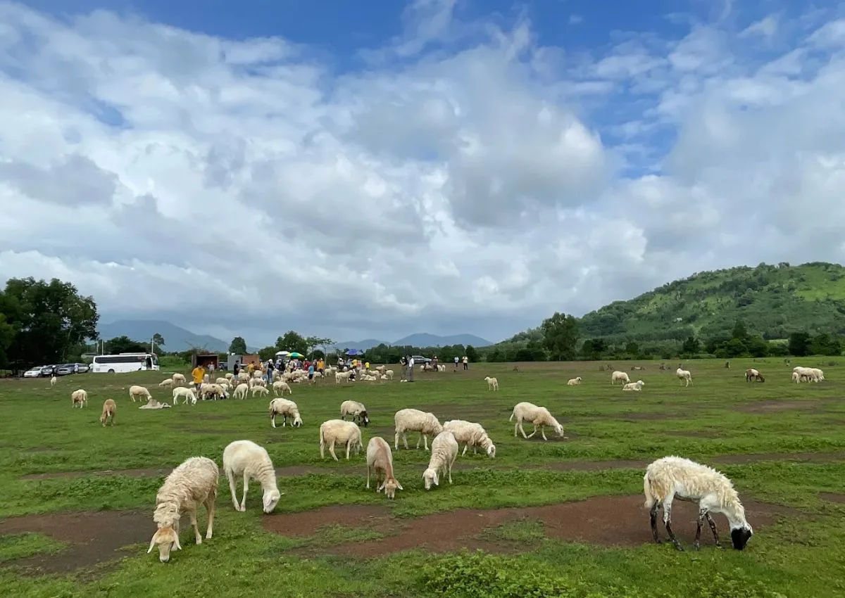 Suoi Nghe Sheep Hill (Doi Cuu Suoi Nghe)