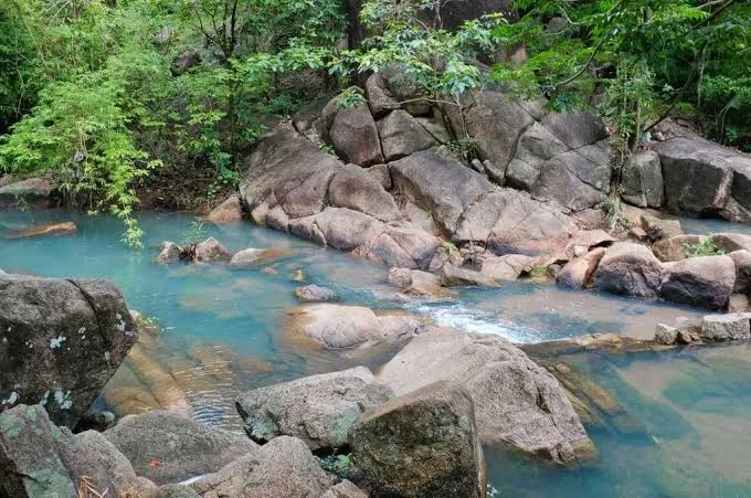 Suoi Da Eco-Tourism Area (Rock Stream - Mount Dinh)